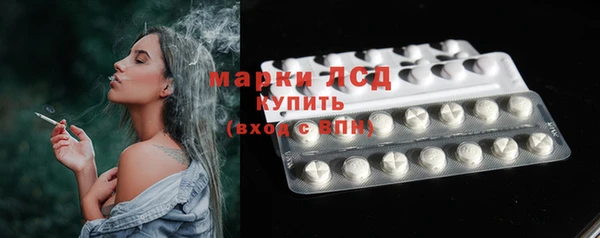 гидра Дмитров