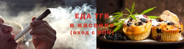 гидра Дмитров